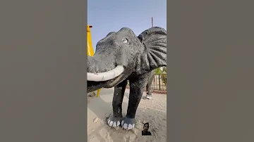 Funny How You Funny Comedy Elephant Love Emotional 