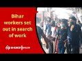 Bihar workers set out in search of work  etv bharat