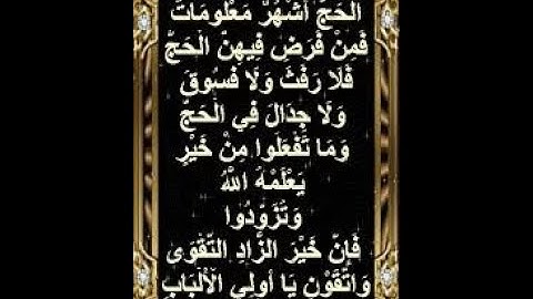 سورة البقرة الْحَجُّ أَشْهُرٌ مَّعْلُومَاتٌ ۚ من197إلى199