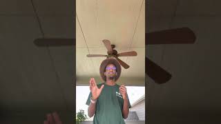 Keeper Talk on African Lions