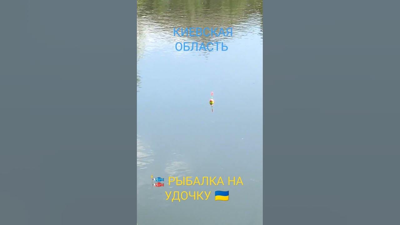 На #Рыбалке 🎏 #Ловля #Рыбы на Удочку с #Поплавком в Киевской области ...