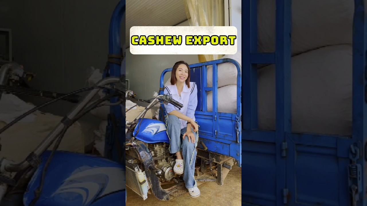 CASHEW EXPORT from Vietnam