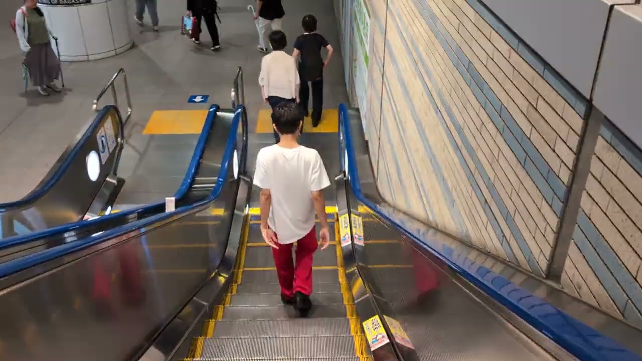 দেখুন জাপানে কিভাবে ট্রেন চড়তে হয়। How to ride the train in Japan. #tokyo #japan.