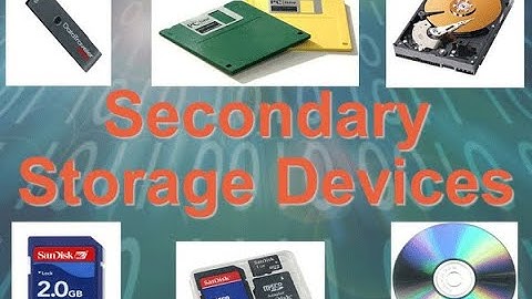 9th class #CBSE STORAGE DEVICE byJyoti Parashar
