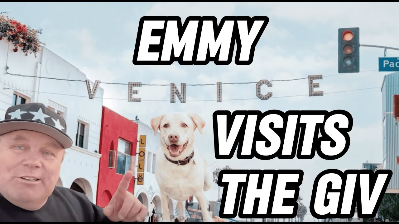 Dog Travels To Meet @germaninvenice  But This Happened Instead