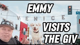 Dog Travels To Meet The German In Venice But This Happened Instead