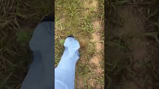 Walking In Sofia Flare Jeans