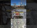 The Science Behind the Saw | Joe Benigno's Tree Service