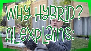 Celebrity Ask the Pool Guy: Why the Pool Guy builds Hybrid Pools Legendary Escapes Net Worth
