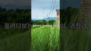 소정산방  #첨성대 #경주여행 #경주의시간 #돌의기억#풍경에세이