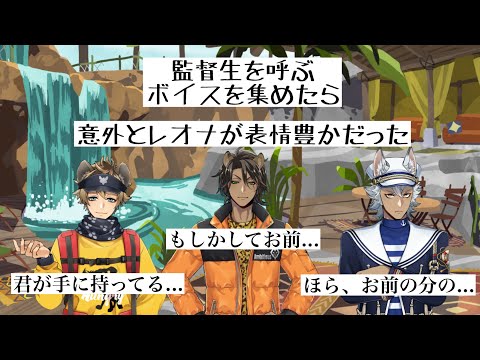 【ツイステ】監督生を呼ぶボイスを集めたら意外とレオナが表情豊かだった。サバナクロー寮 レオナ #梅原裕一郎 ジャック #坂泰斗 ラギー #市川蒼
