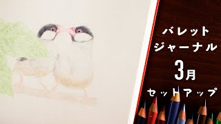 March 2021 Bullet Journal Setup | PLAN WITH ME - YouTube
