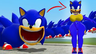 EU ME TORNEI UMA HISTÓRIA DE AMOR COM A VERME SONIC FAMINTA NO ROBLOX EM GARRY'S MOD!!