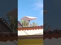 Jaringan dikampungku tidak bagus #kelapa #starlink
