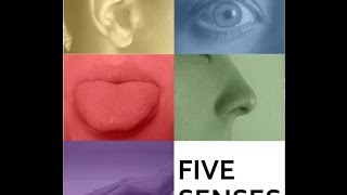 The Five Senses (NGSS)