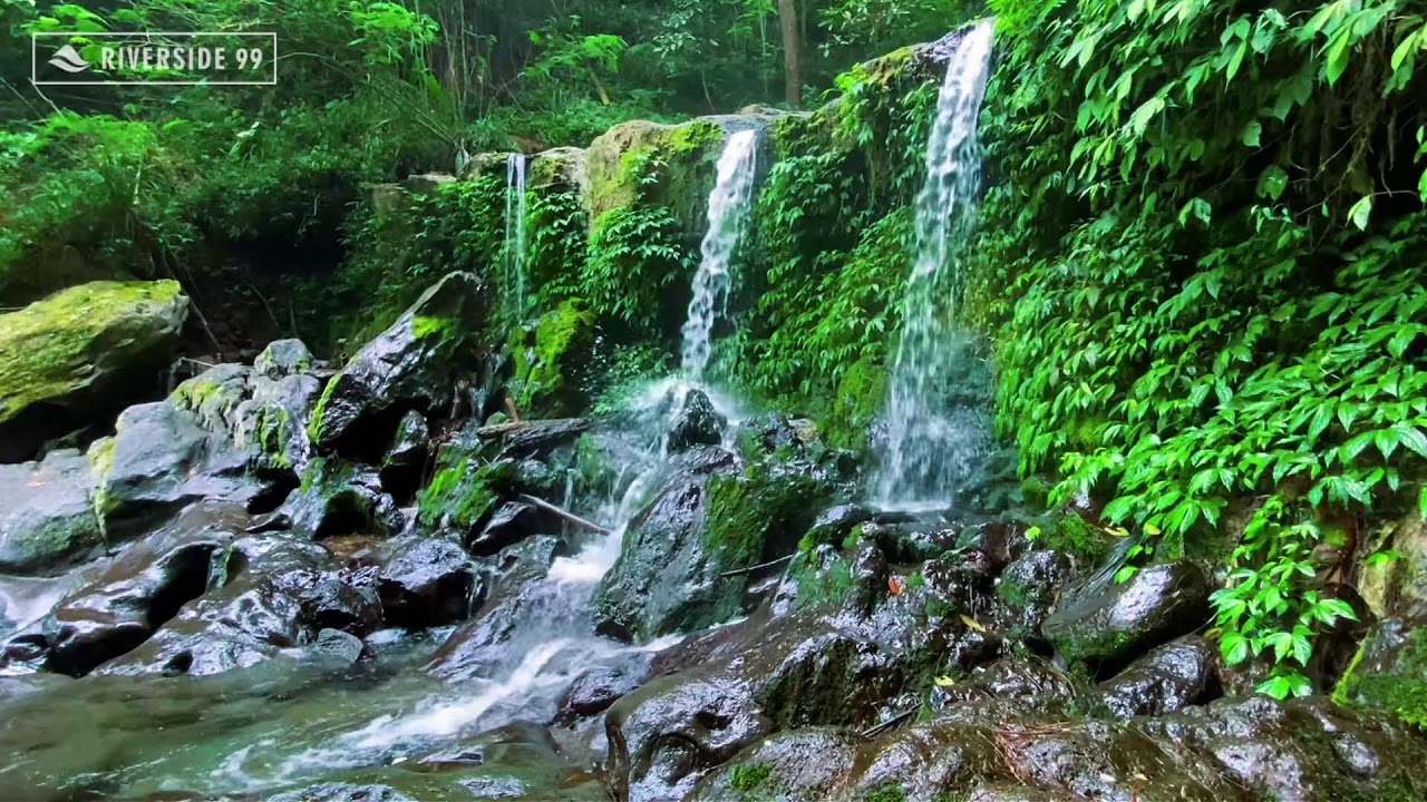 River Sounds for Sleeping 24/7 | Deep Relaxing Water Flow for Instant Night Sleep and relaxation #1