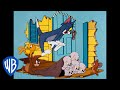 Tom & Jerry em Português | Brasil | Vamos Salvar o Dia! | WB Kids