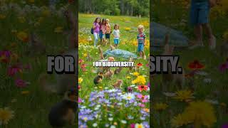 Nature-Inspired Activities to Foster Sustainability