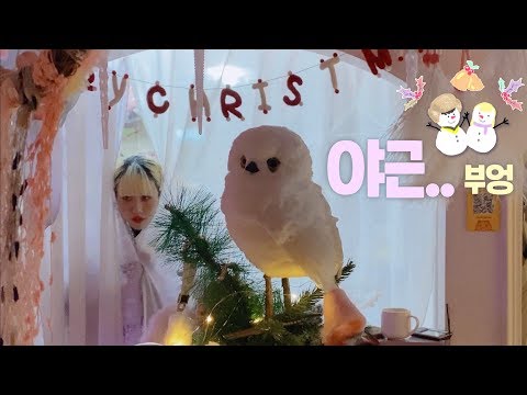 홍대 소품샵 알바생🎅🏻의 <strong>크리스마스</strong> <strong>트리</strong> <strong>장식</strong>🎄브이로그💖