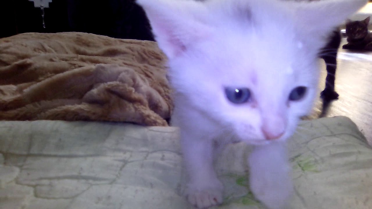 Первый самостоятельный глоток молока... - YouTube