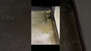 Deep Balcony Cleaning #vancouver #realestate #cleaning #home #work #diy #satisfying #construction