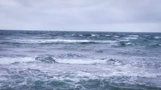 Snow on the Ocean at Cape Cod