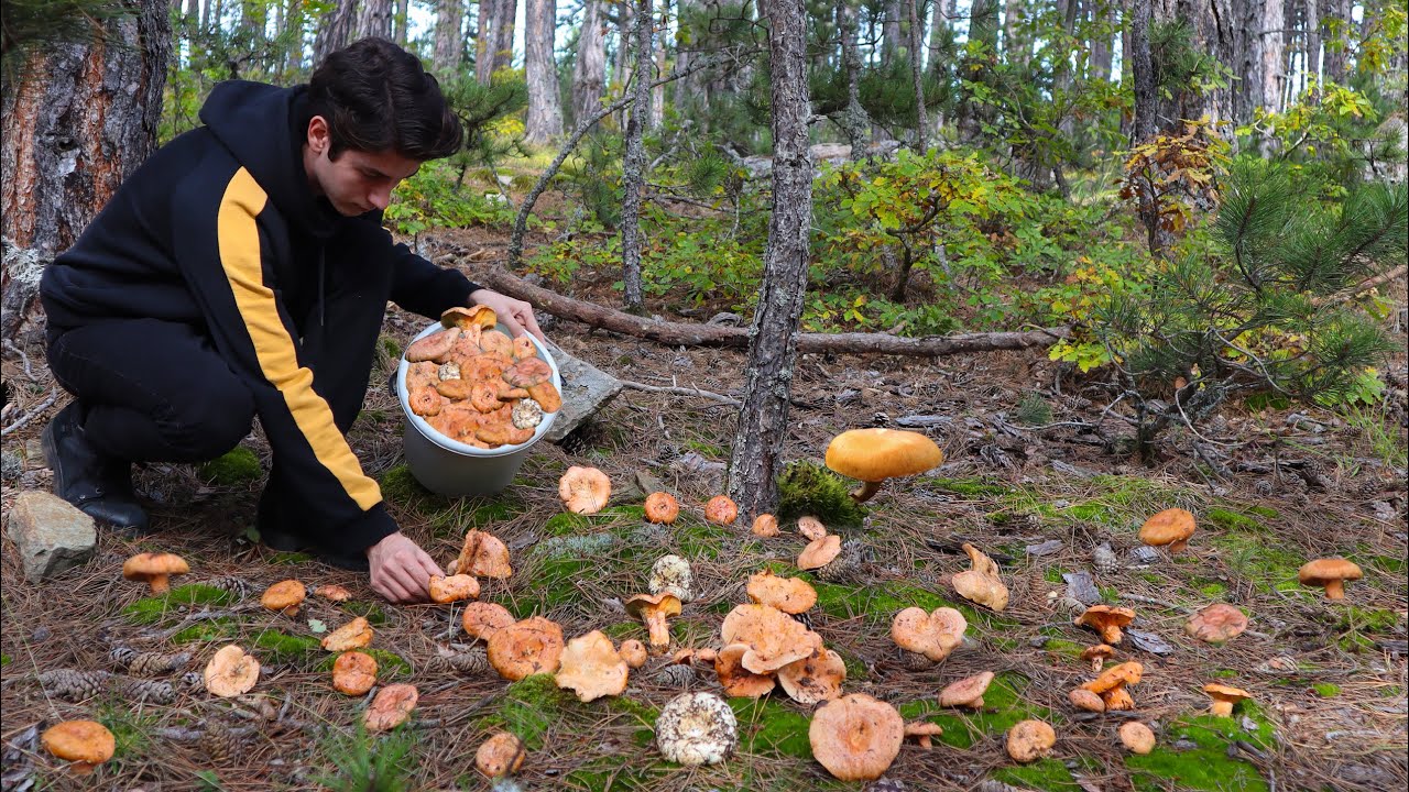 Как собрать много грибов в деревне. Жизнь в деревне. Деревенский документальный фильм