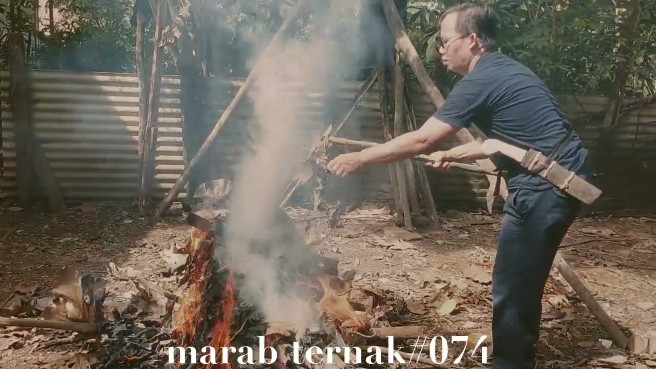 Marab ternak #074(@hermansuherman7736)