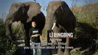 Li Bingbing on the impacts of buying ivory