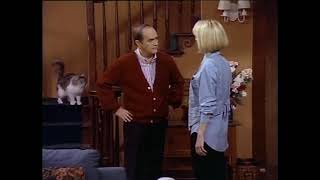 Bob Newhart gets outsmarted by his cat... ONE MORE TIME... by Roadside Television 3,665 views 2 years ago 36 seconds