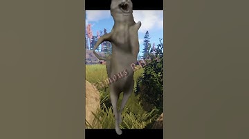 Докажи одной фразой что ты играешь в Раст) #rust #мем #юмор #music #funk #юмор