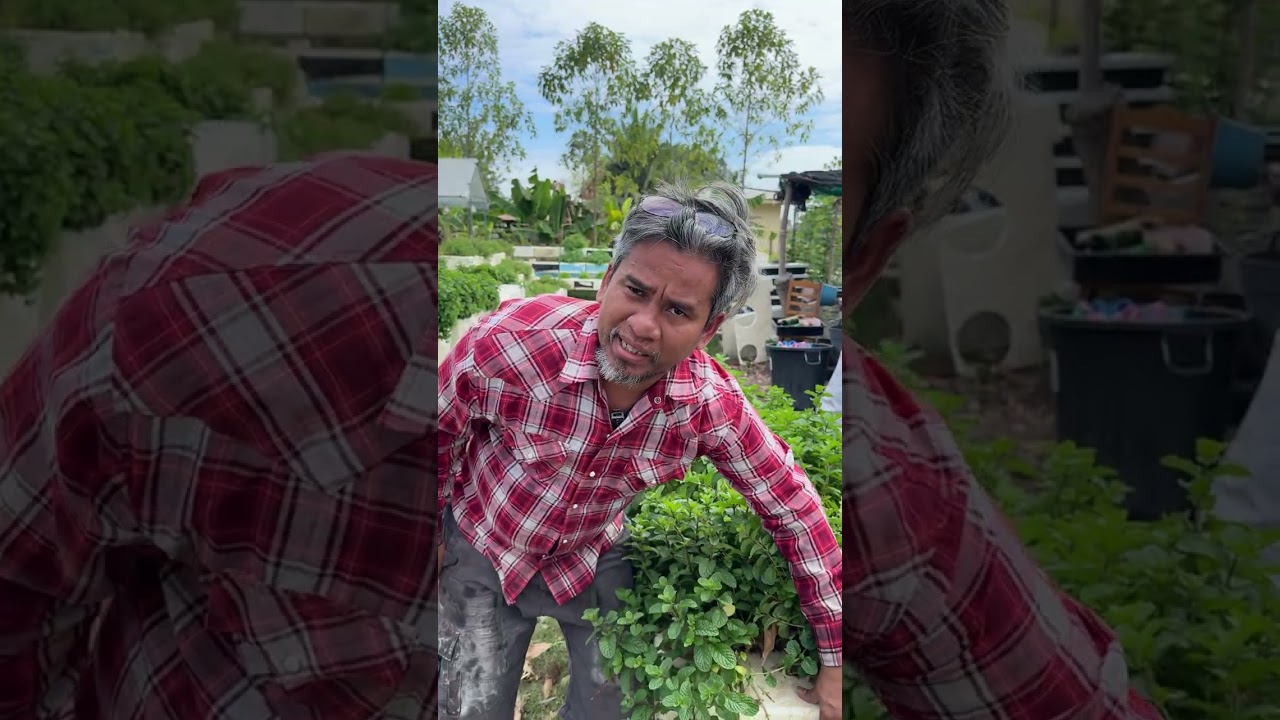 สาระแนในกล่องโฟมจากหลายภาชนะ