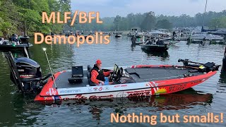 2024 BFL Demopolis, AL