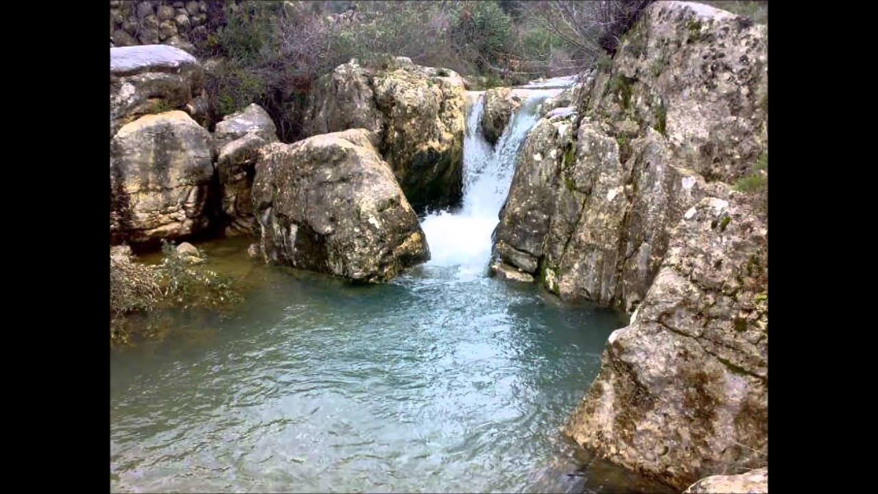 تحيا لأرواح شهداء قرية بيت عانا