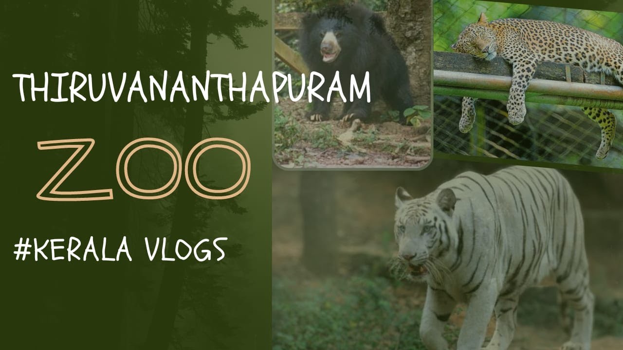 Thiruvananthapuram Zoo Kerala vlog White tiger Lion Birds