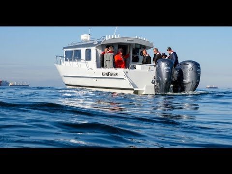 Kingfisher 3425 GFX