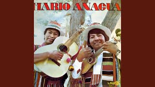 Video thumbnail of "Mario Anagua - Gabriela de Mis Amores"