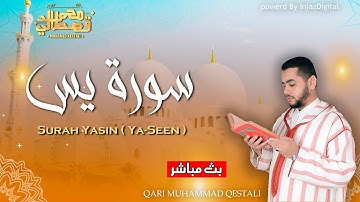 تلاوة تخشع لها القلوب لسورة يس كاملة بصوت الشيخ محمد قصطالي | Surah yasin - Sheikh Qestali