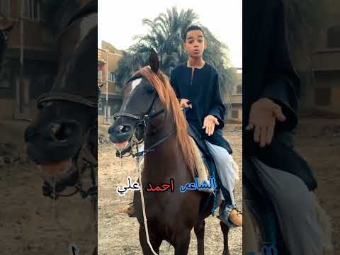 يا ناس سيبونا في حالنا وانتو خليكم في حالكم الشاعر احمد علي بيعمل ابداع شاهد بنفسك