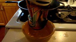 Apologia Experiment 3.1