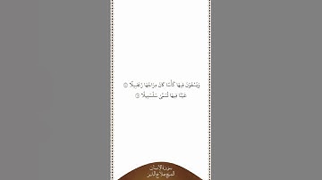 تلاوة في دقيقة سورة الإنسان الآيات من ١٧ إلى ١٨ الشيخ صلاح البدير