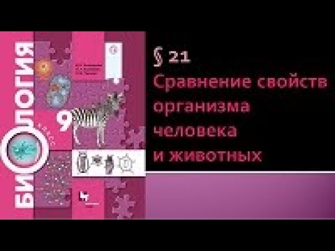 Биология 9 класс. Сравнение свойств организма человека и животных