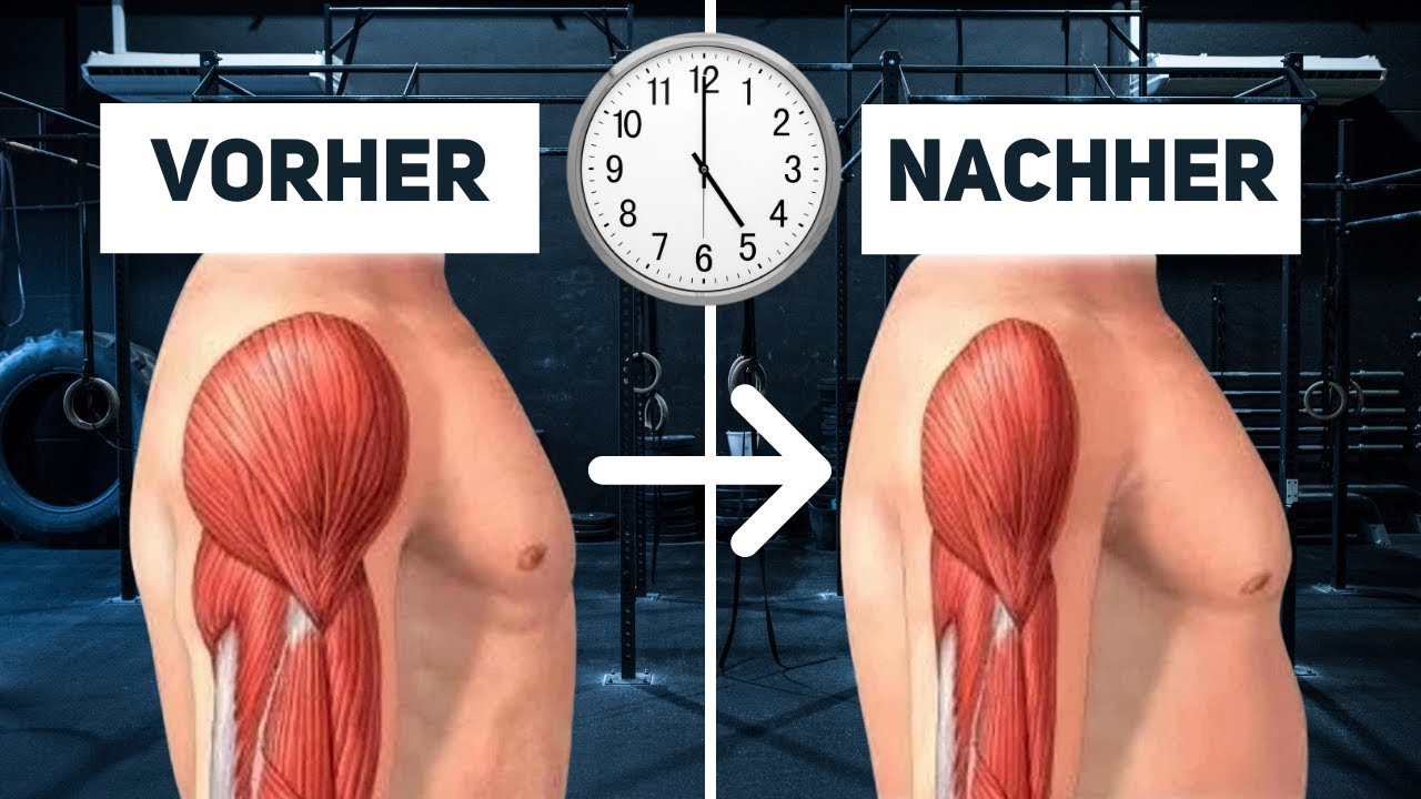 Wie Lange Dauert Es Bis Man Kopfläuse Bemerkt WIE LANG dauert es, bis ich meine Muskeln VERLIERE? - YouTube