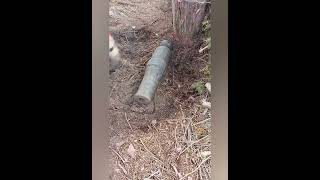 The day I found a buried cannon in my backyard.
