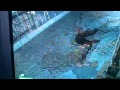 Fallout 3 in a nutshell.