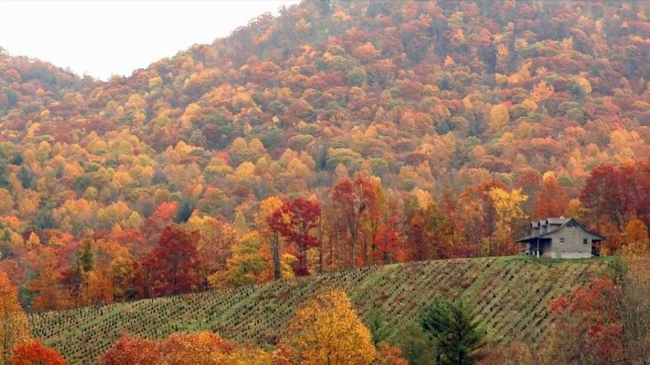 God Bless the USA HD - Grand Finale - FlipFlop Creations