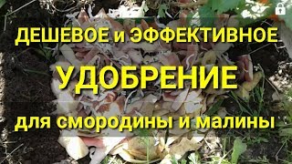 Дешевое и быстрое удобрение для растений. Замена навоза. Бақша үшін арзан тыңайтқыш. дешеве добриво.