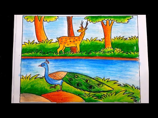 How to draw forest scenery step by step - Forest scenery drawing with  animals - YouTube