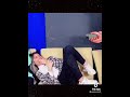 اعقلي شويه يا خبله اعقلي شويه يا خبله