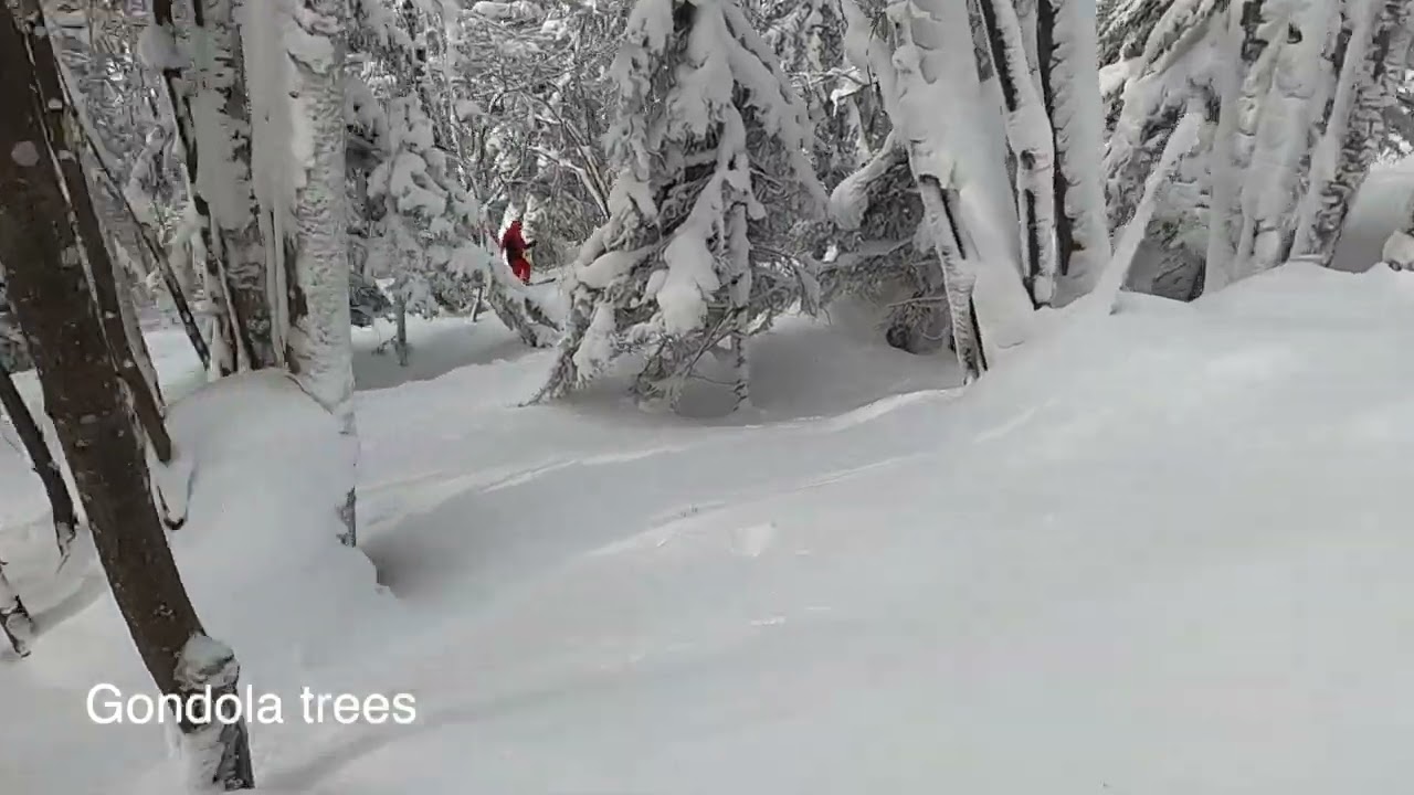 Kamui ski links - to seek only powder and no track